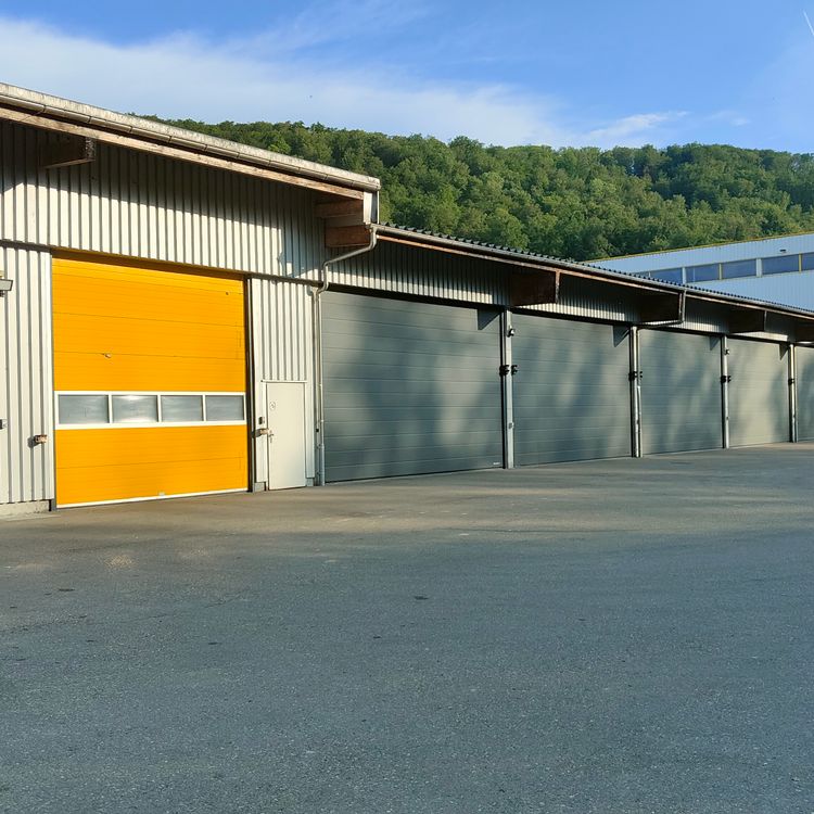 Industrielle Hallentore, Sektionaltore Doorhan